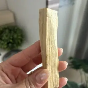 Palo Santo Avulso 1UNID