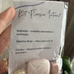 Kit Florescer Interno